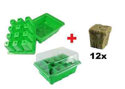 Humidity Cloning Tray Propagation Dome For Plants/seeds + 12 Rockwool Cubes