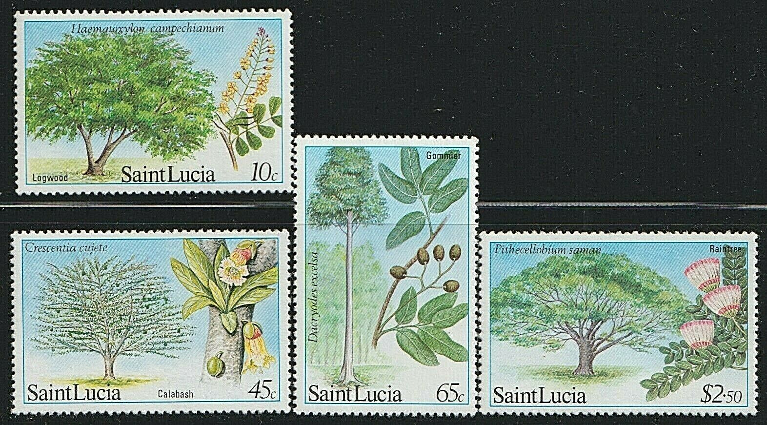 Edsroom-6944 St Lucia 649-52 Mnh 1984 Complete Trees